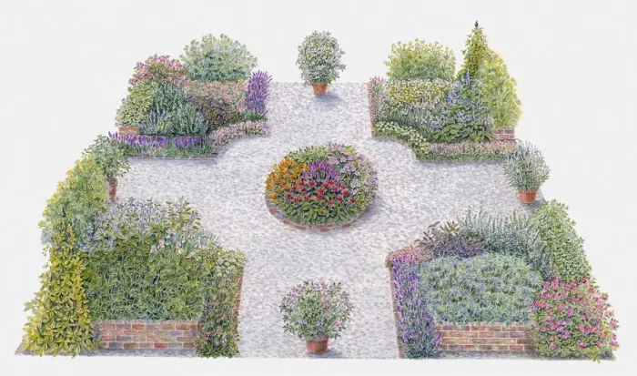 Framed Print : Illustration of pot pourri herb bed in formal garden Framed Print : Illustration of pot pourri herb bed in formal garden