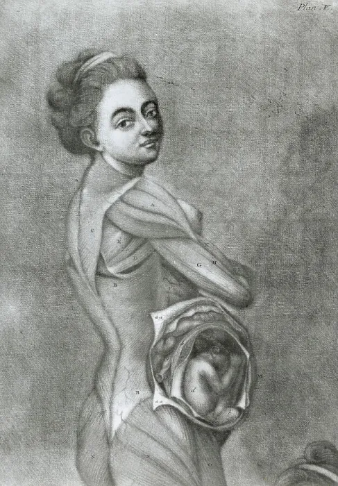 Framed Print : Illustration of Pregnant Woman Framed Print : Illustration of Pregnant Woman