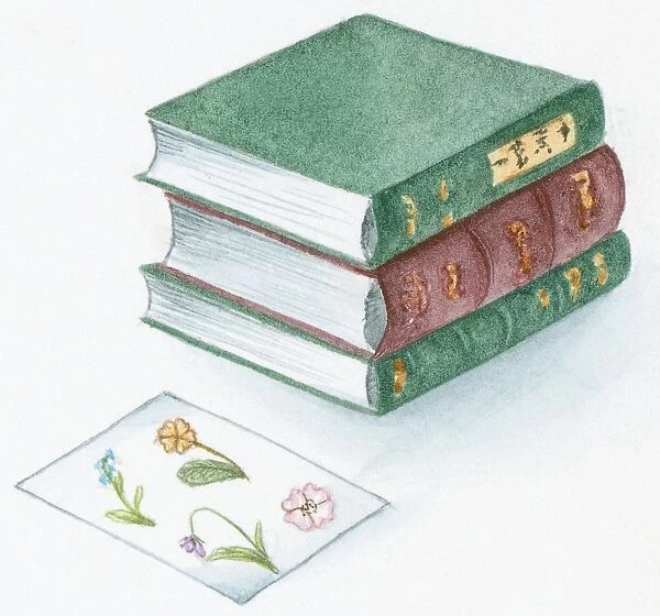 Illustration of pressed flowers on white paper and stack of heavy hardback books