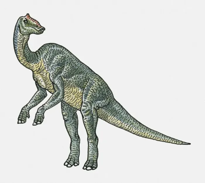 Framed Print : Illustration of Prosaurolophus hadrosaurid dinosaur Framed Print : Illustration of Prosaurolophus hadrosaurid dinosaur