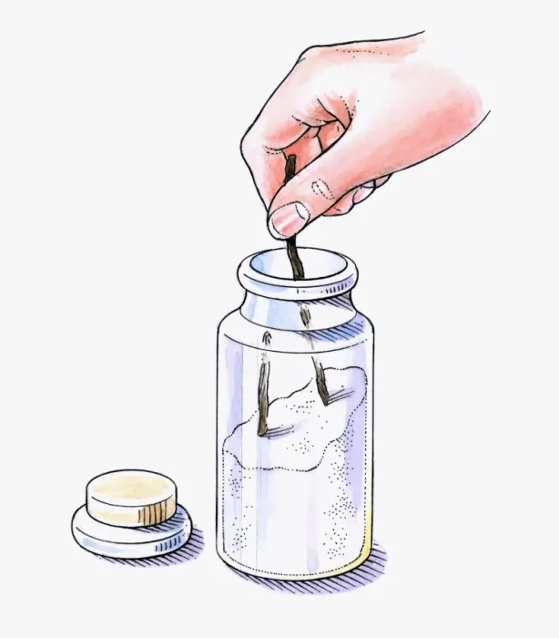 Framed Print : Illustration of putting vanilla pods in jar with white sugar