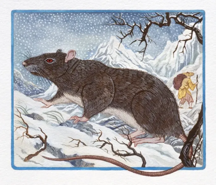 Framed Print : Illustration of Rat on the Mountain, representing Chinese Year Of The Rat Framed Print : Illustration of Rat on the Mountain, representing Chinese Year Of The Rat