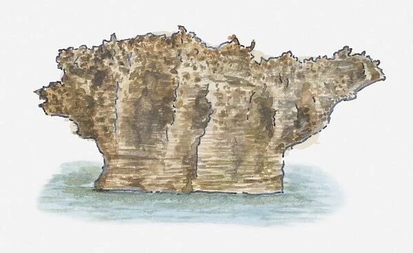 Illustration of rock formation found on northern coast of Kenya