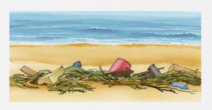 Framed Print : Illustration of rubbish washed up on beach with seaweed Framed Print : Illustration of rubbish washed up on beach with seaweed