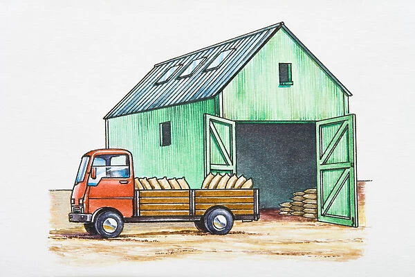Illustration of sacks in back of stationary pick-up truck near barn with open doors