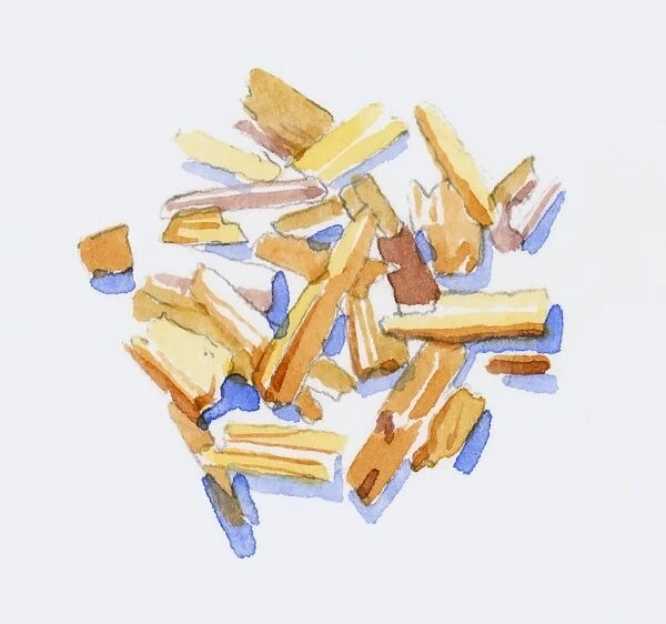 Illustration of Santalum (Sandalwood), wood chips