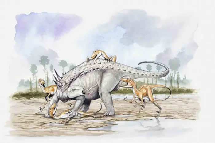 Framed Print : Illustration of a Sauropelta under attack by a pack of Deinonychus theropod dinosaurs, Cretaceous period Framed Print : Illustration of a Sauropelta under attack by a pack of Deinonychus theropod dinosaurs, Cretaceous period