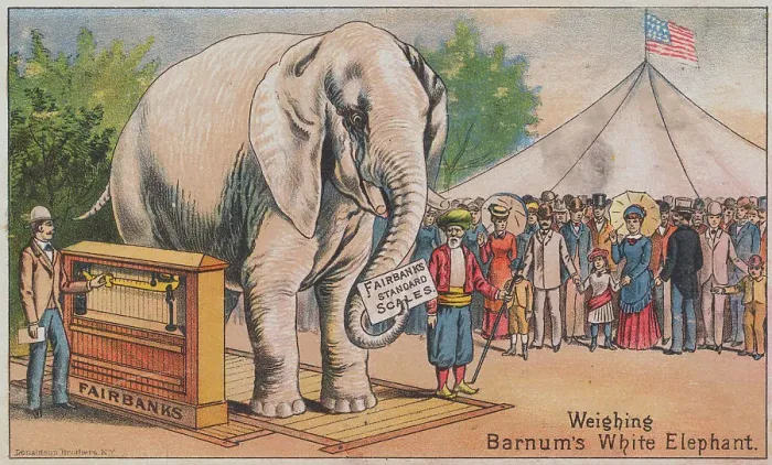 Framed Print : Illustration of Scale Weighing Large Elephant Framed Print : Illustration of Scale Weighing Large Elephant