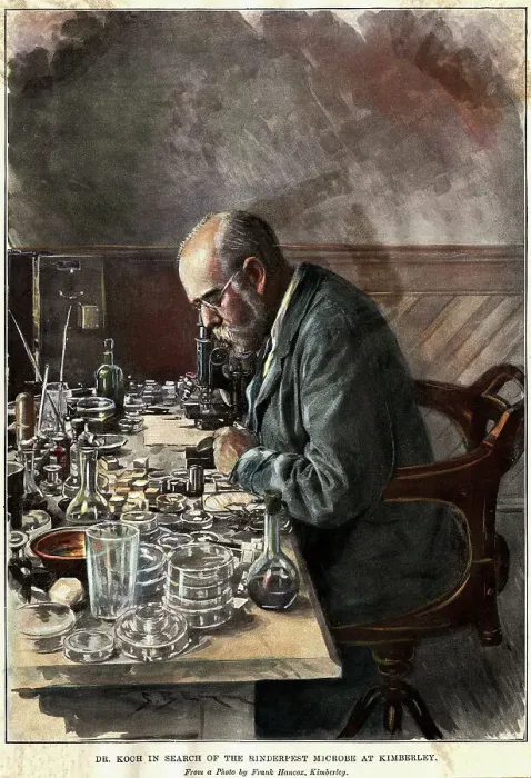 Framed Print : Illustration of Scientist Robert Koch Working in Laboratory Framed Print : Illustration of Scientist Robert Koch Working in Laboratory