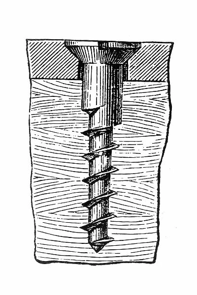 Screw. Illustration of a screw screwed in a wood