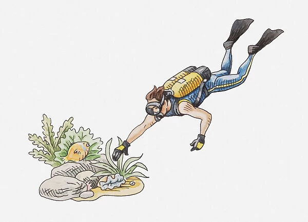 Illustration of scuba diver touching some plants on the seabed