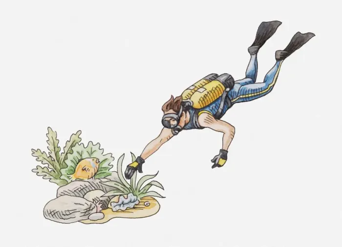 Framed Print : Illustration of scuba diver touching some plants on the seabed Framed Print : Illustration of scuba diver touching some plants on the seabed