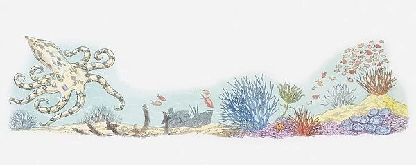 Illustration of sea life including octopus, shoal of fish, coral, and shipwreck in background
