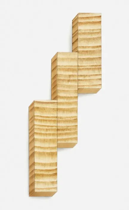 Framed Print : Illustration of sections from a tree trunk showing tree rings Framed Print : Illustration of sections from a tree trunk showing tree rings