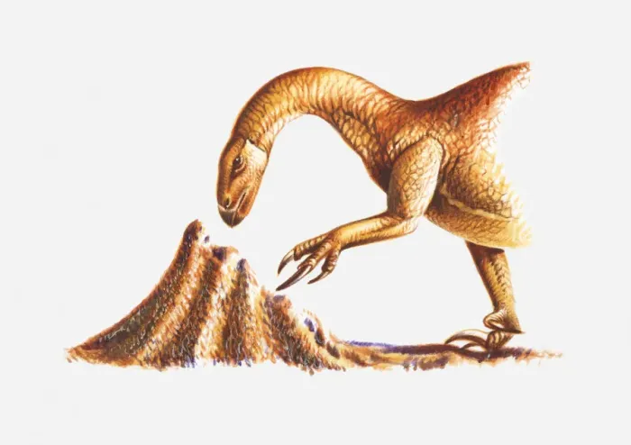 Framed Print : Illustration of a Segnosaurus attacking a termite nest, Cretaceous period