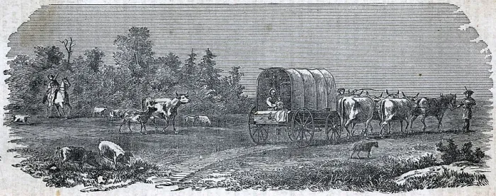 Framed Print : Illustration Of Settlers On The Move Framed Print : Illustration Of Settlers On The Move