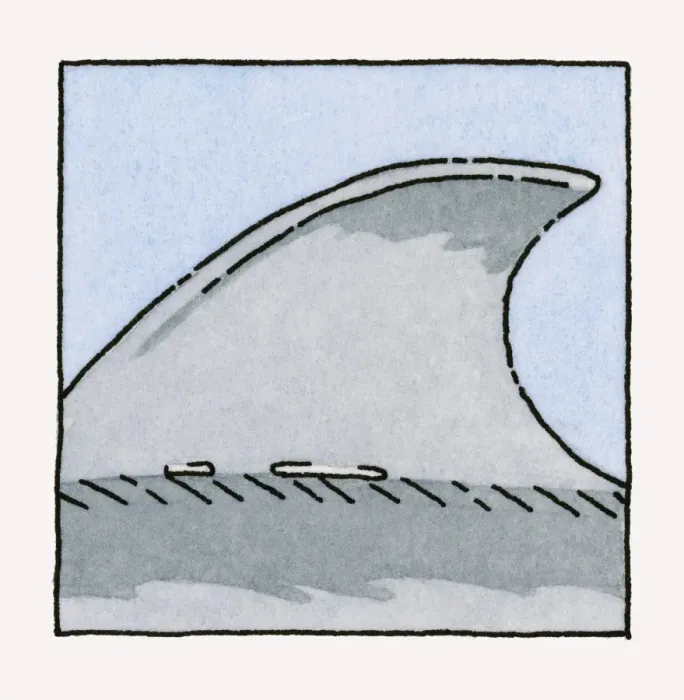 Framed Print : Illustration of shark dorsal fin, close-up