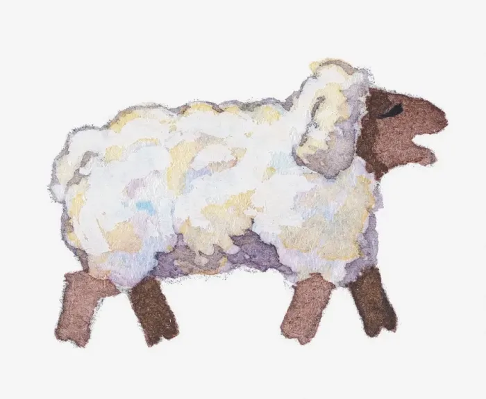 Framed Print : Illustration of sheep bleating Framed Print : Illustration of sheep bleating