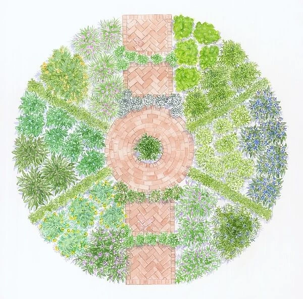 Illustration showing circular bed of culinary herbs
