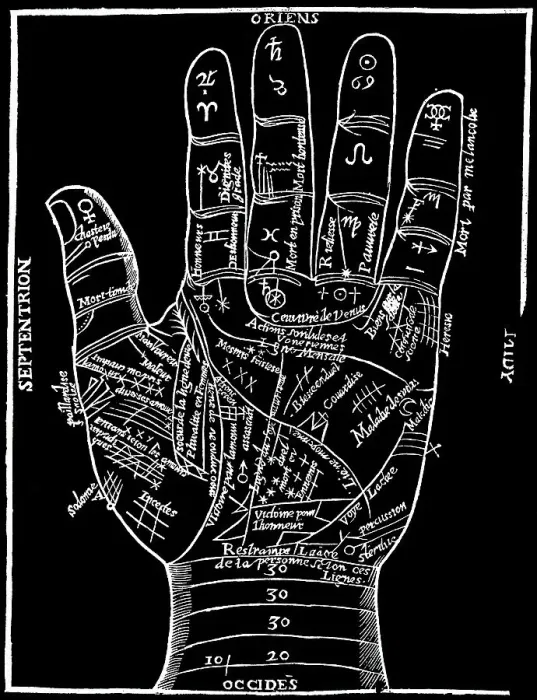 Framed Print : Illustration Showing Lines Of The Hand Framed Print : Illustration Showing Lines Of The Hand