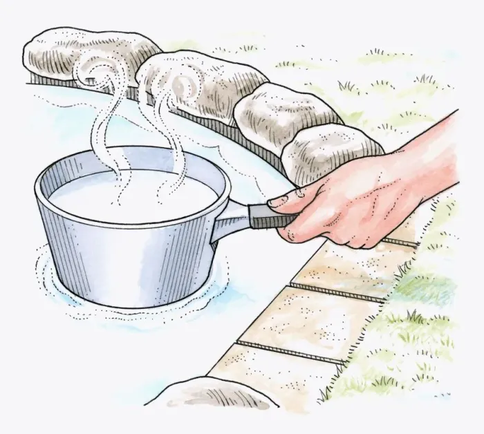 Framed Print : Illustration of showing how to melt ice covering pond using base of saucepan containing boiling wate Framed Print : Illustration of showing how to melt ice covering pond using base of saucepan containing boiling wate