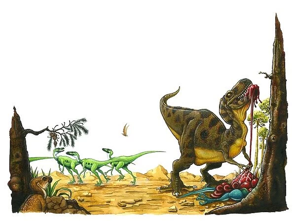 Illustration of small Hypsilophodon looking up at Tyrannosaurus Rex tearing at skin and organs of dead dinosaur as herd of green bipedal dinosaurs escape in distance