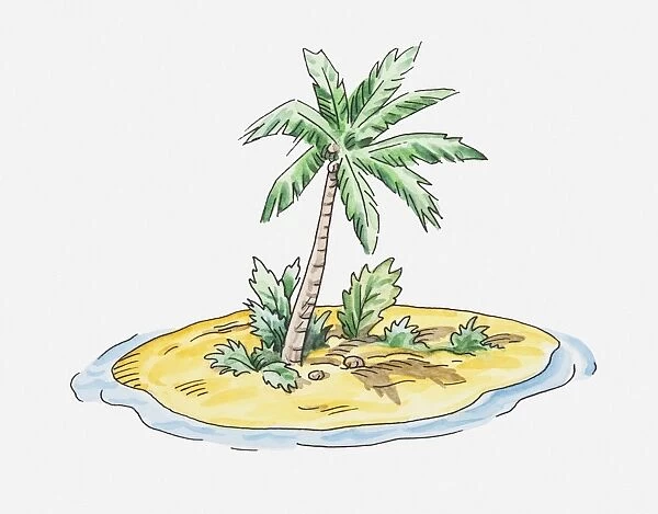 Illustration of small island with single palm tree on it