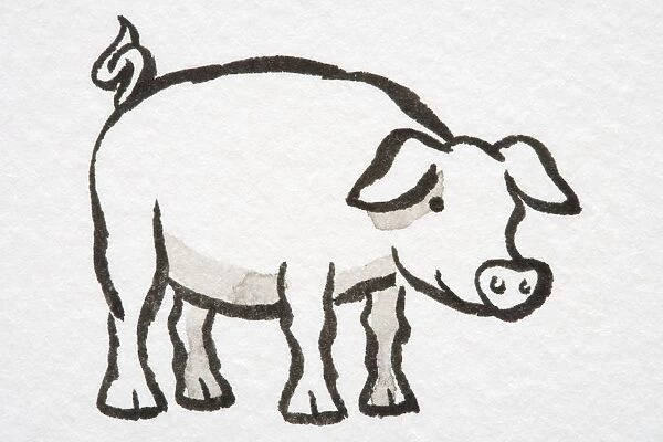 Illustration, smiling pig standing, side view
