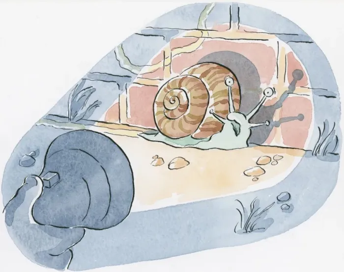 Framed Print : Illustration of snail against wall illuminated by torch Framed Print : Illustration of snail against wall illuminated by torch