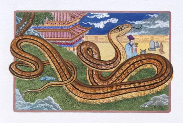 Framed Print : Illustration of Snake on the Grass, representing Chinese Year Of The Snake Framed Print : Illustration of Snake on the Grass, representing Chinese Year Of The Snake