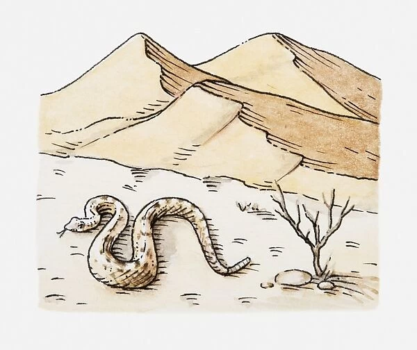 Illustration of snake in mountainous desert landscape