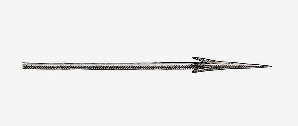 Illustration of a spear