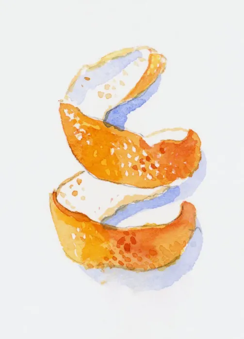 Framed Print : Illustration of spiral of orange peel Framed Print : Illustration of spiral of orange peel