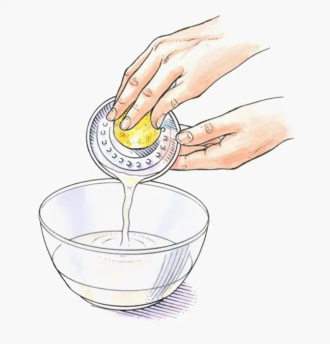 Framed Print : Illustration of squeezing lemon juice using a juicer Framed Print : Illustration of squeezing lemon juice using a juicer