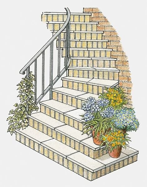 Illustration of steps decorated with flower pots and ivy growing on handrail