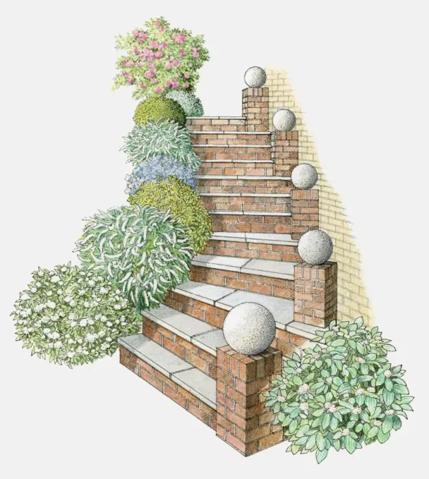 Framed Print : Illustration of steps flanked by rounded plants