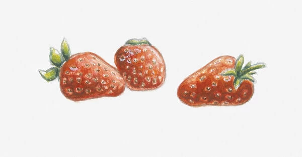 Illustration of three strawberries