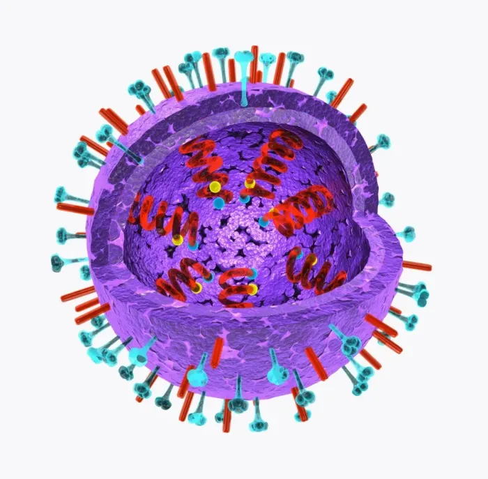 Framed Print : Illustration of the structure of a virus