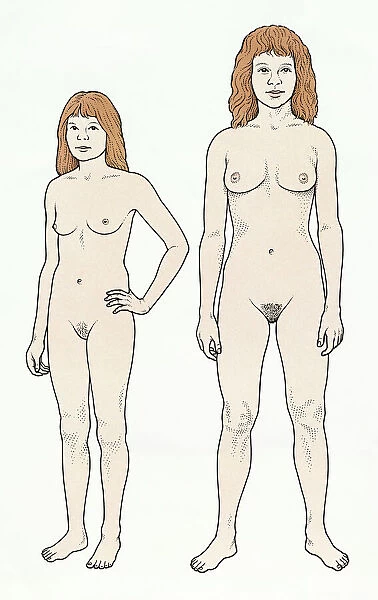 Illustration of teenage girl at onset of puberty and young adult woman