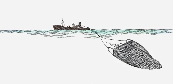 Framed Print : Illustration of trawler at sea dragging fishing net to catch fish Framed Print : Illustration of trawler at sea dragging fishing net to catch fish
