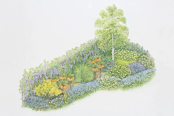 Illustration, tree, shrub and blooming flowerbeds in garden corner, including orange, yellow, blue and purple flowers, elevated view