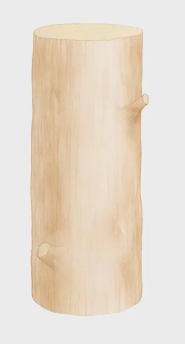 Framed Print : Illustration of tree trunk Framed Print : Illustration of tree trunk