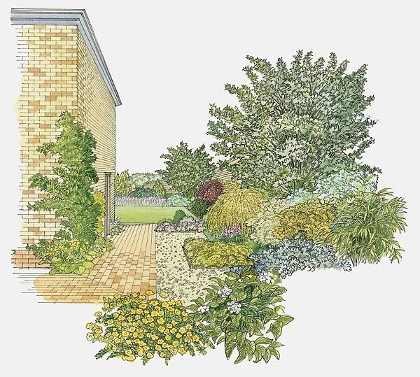 Illustration of trees, shrubs and flowers planted in garden
