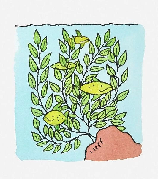 Illustration of tropical fish swimming near plants in fish tank