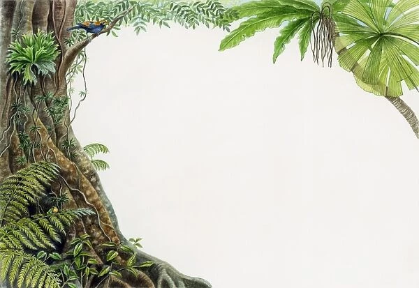 Illustration of tropical rainforest with bird perched on branch
