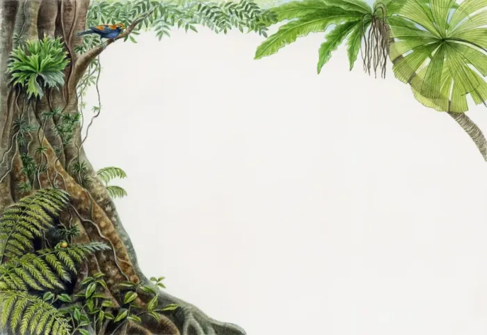 Framed Print : Illustration of tropical rainforest with bird perched on branch Framed Print : Illustration of tropical rainforest with bird perched on branch