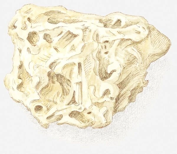Illustration of tufa rock
