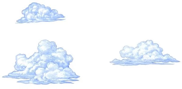 Illustration of three types of cumulus clouds