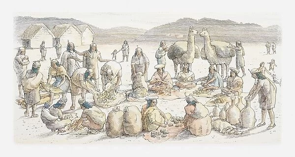 Illustration of typical Andean market scene