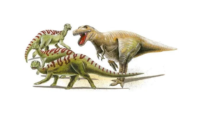 Framed Print : Illustration of a Tyrannosaurus Rex in pursuit of herd of Iguanodon dinosaurs Framed Print : Illustration of a Tyrannosaurus Rex in pursuit of herd of Iguanodon dinosaurs